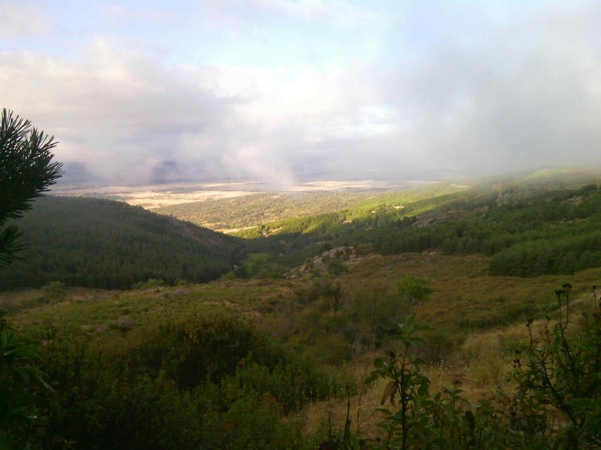 Las Pinoneras Tortoles Luaran gambar